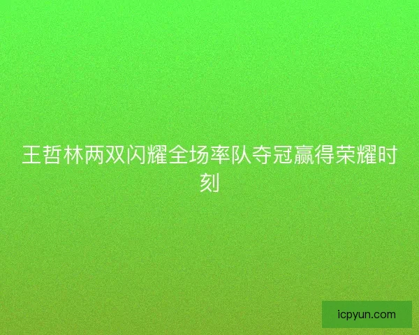 王哲林两双闪耀全场率队夺冠赢得荣耀时刻